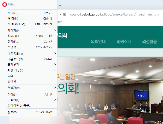 오페라 : 상단 메뉴중 보기 > Zoom 메뉴에서 설정