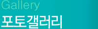포토갤러리